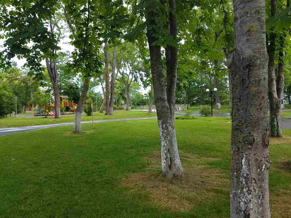 Villa Salena Primorsko Exteriér fotografie